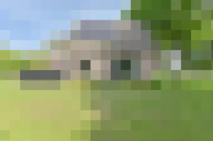Buinerweg 11 Exloo thumbnail 48