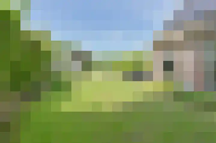 Buinerweg 11 Exloo thumbnail 49