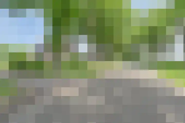 Buinerweg 11 Exloo thumbnail 5
