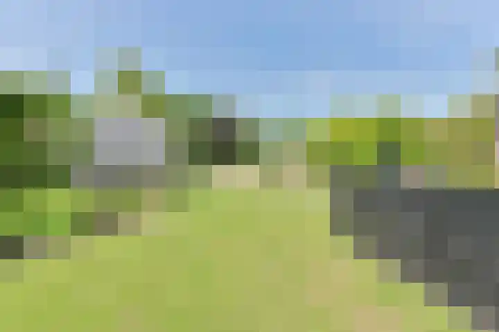 Buinerweg 11 Exloo thumbnail 50