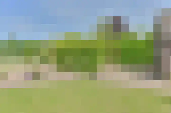 Buinerweg 11 Exloo thumbnail 52
