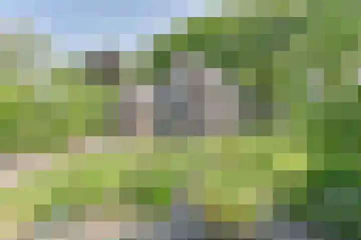Buinerweg 11 Exloo thumbnail 53