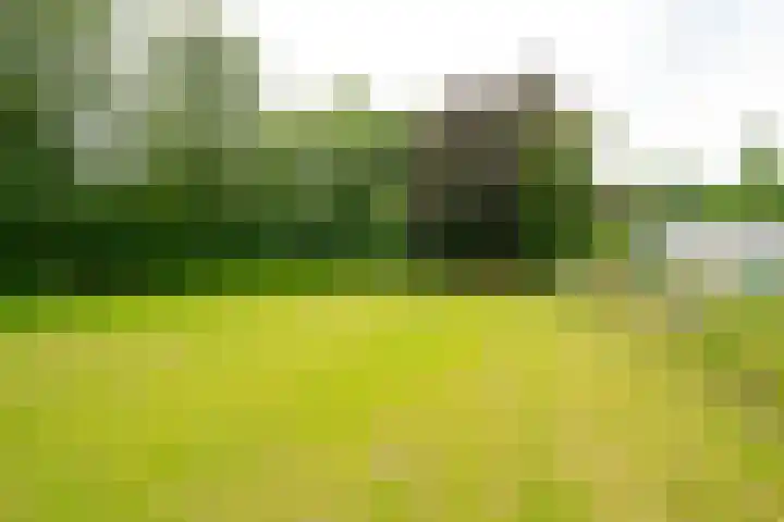 Buinerweg 11 Exloo thumbnail 59