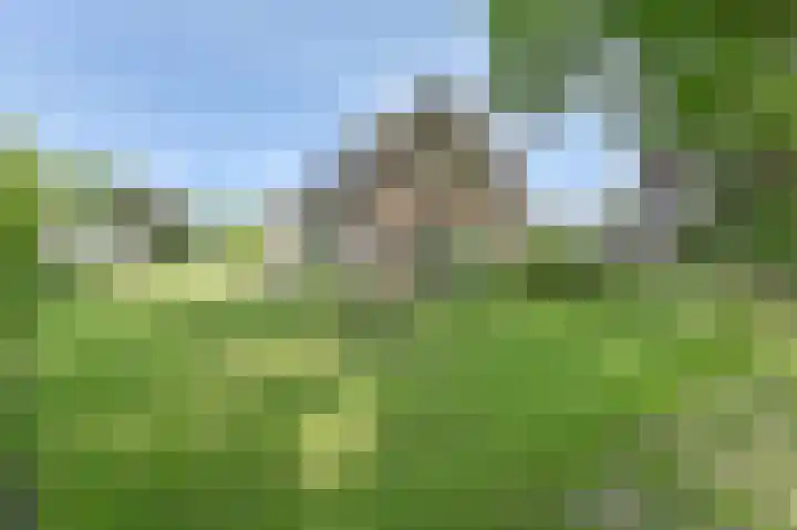Buinerweg 11 Exloo thumbnail 6