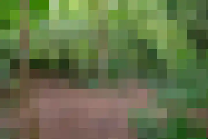 Buinerweg 11 Exloo thumbnail 60