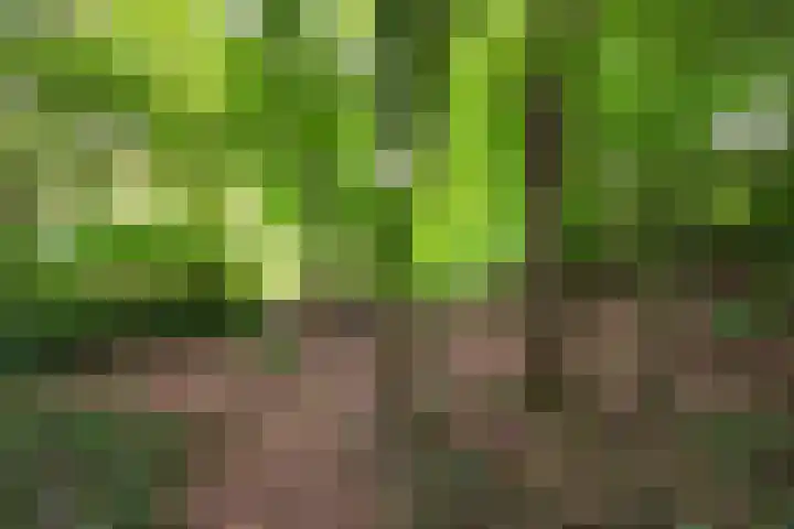 Buinerweg 11 Exloo thumbnail 61