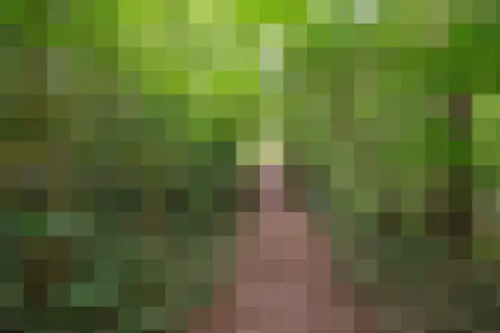Buinerweg 11 Exloo thumbnail 62