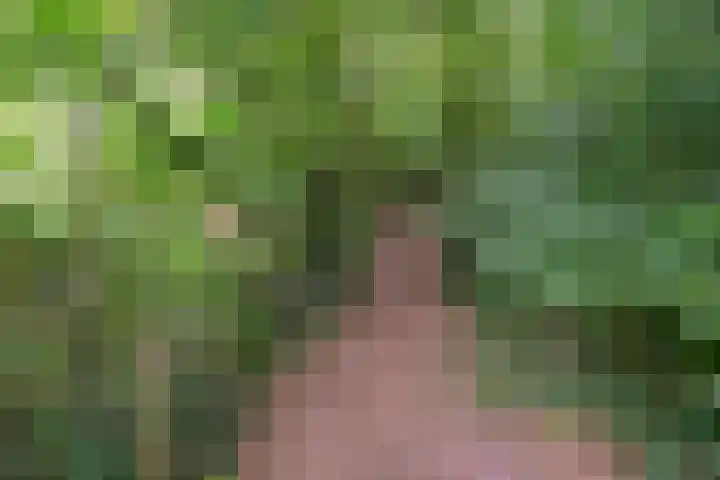 Buinerweg 11 Exloo thumbnail 63