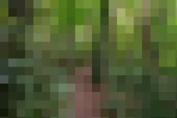 Buinerweg 11 Exloo thumbnail 64
