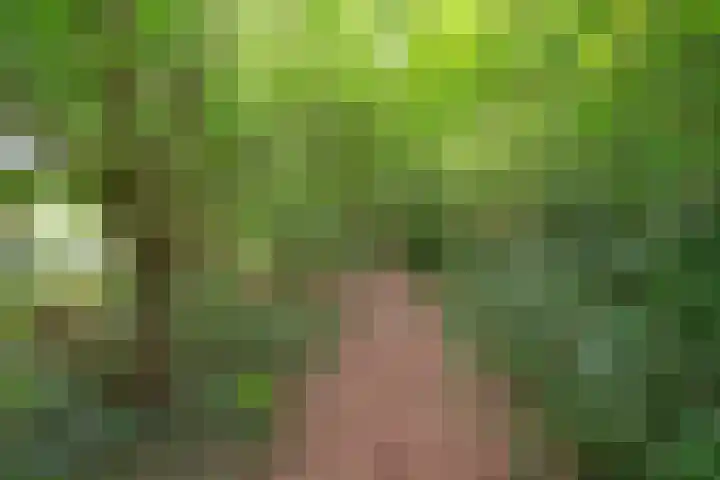 Buinerweg 11 Exloo thumbnail 65