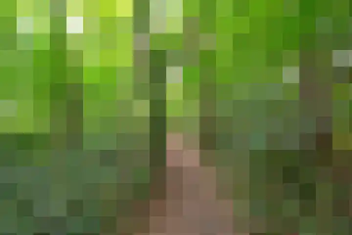 Buinerweg 11 Exloo thumbnail 66