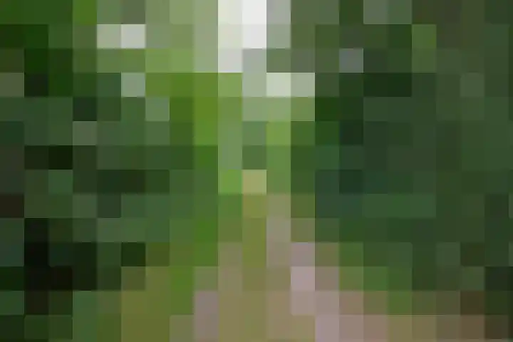 Buinerweg 11 Exloo thumbnail 67
