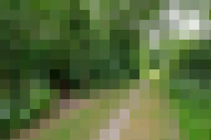 Buinerweg 11 Exloo thumbnail 68