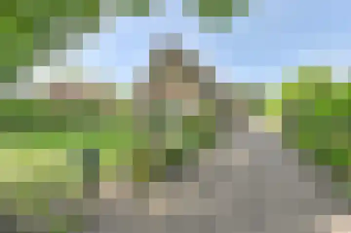 Buinerweg 11 Exloo thumbnail 7