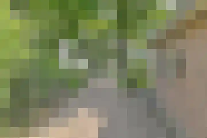 Buinerweg 11 Exloo thumbnail 9