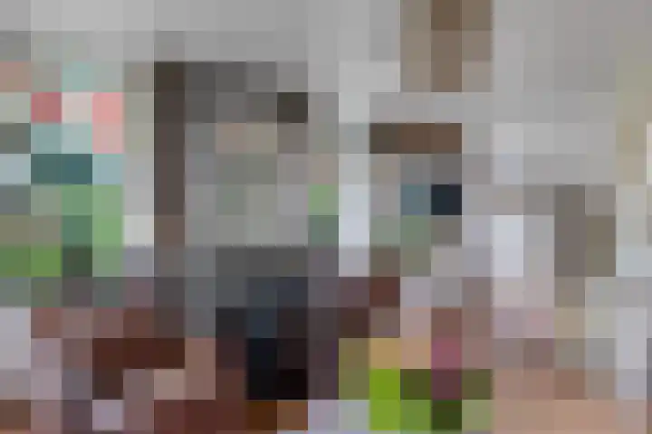 Buinerweg 3 Exloo thumbnail 10