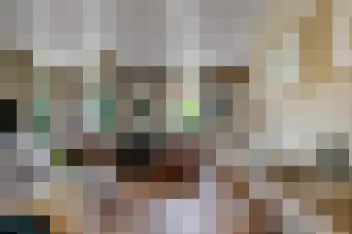 Buinerweg 3 Exloo thumbnail 12