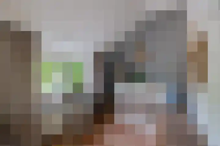 Buinerweg 3 Exloo thumbnail 13