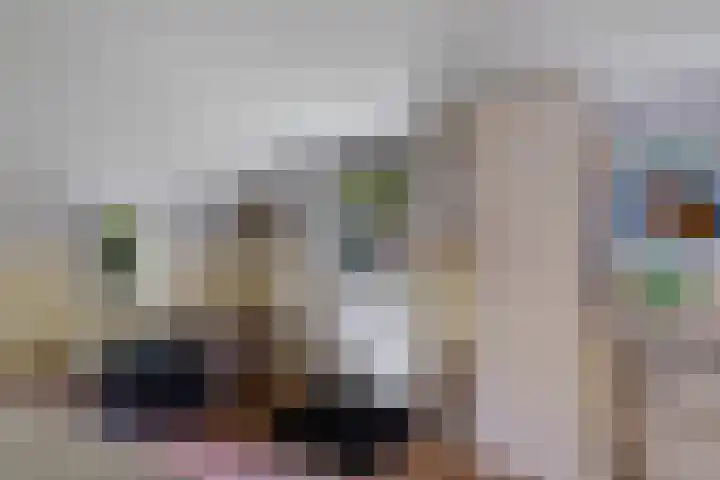 Buinerweg 3 Exloo thumbnail 22