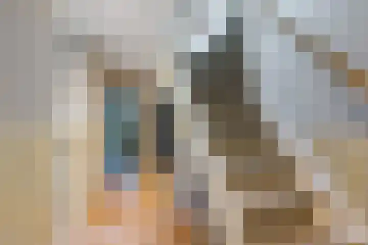 Buinerweg 3 Exloo thumbnail 24