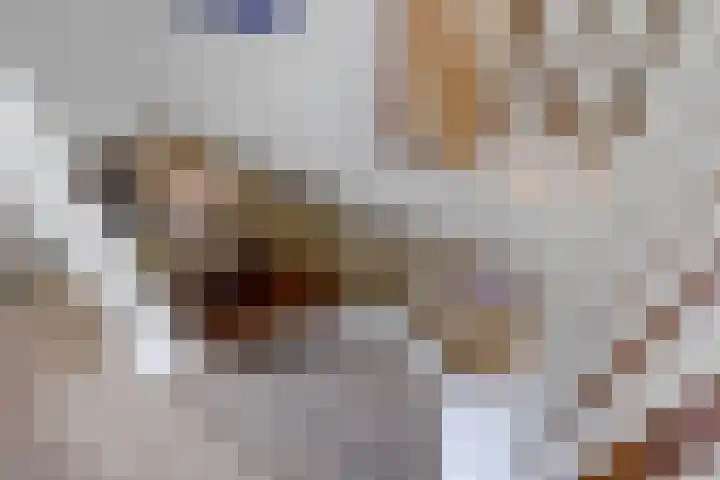 Buinerweg 3 Exloo thumbnail 25
