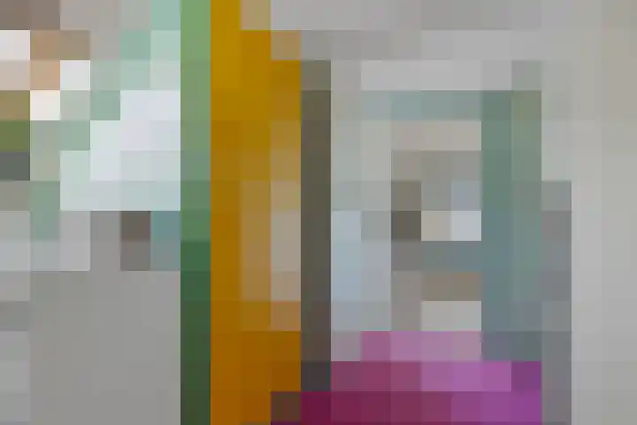 Buinerweg 3 Exloo thumbnail 32