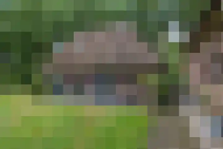 Buinerweg 3 Exloo thumbnail 33