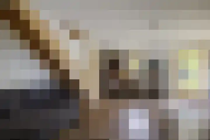 Buinerweg 3 Exloo thumbnail 34