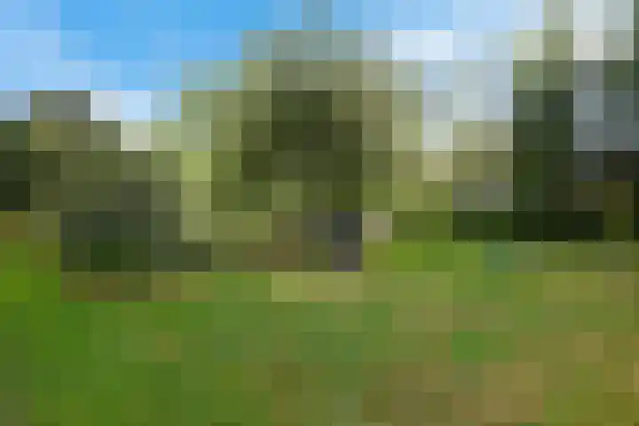 Buinerweg 3 Exloo thumbnail 35