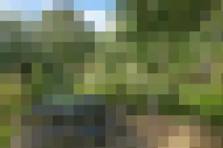 Buinerweg 3 Exloo thumbnail 36