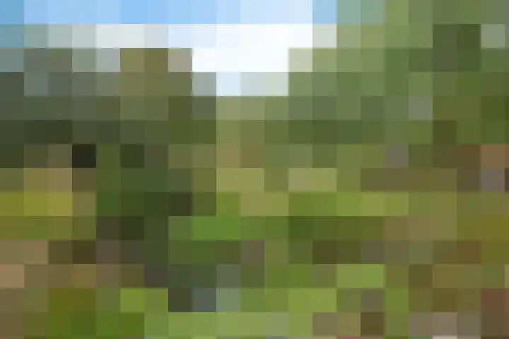 Buinerweg 3 Exloo thumbnail 37