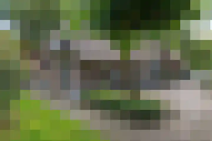 Buinerweg 3 Exloo thumbnail 38