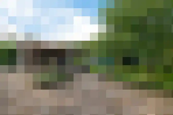 Buinerweg 3 Exloo thumbnail 39