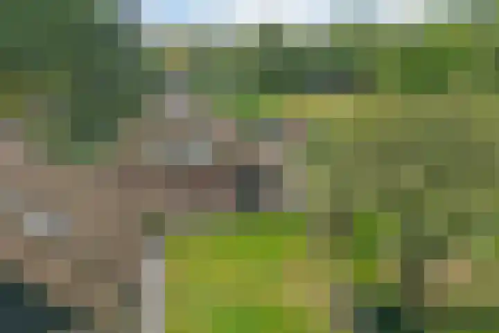 Buinerweg 3 Exloo thumbnail 4