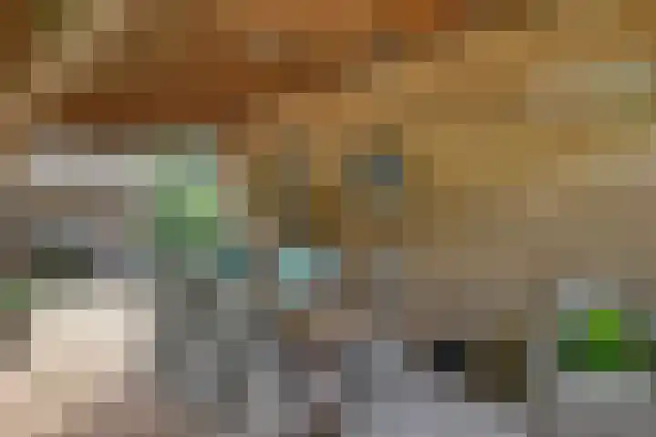 Buinerweg 3 Exloo thumbnail 40