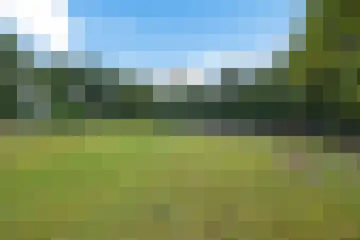 Buinerweg 3 Exloo thumbnail 44