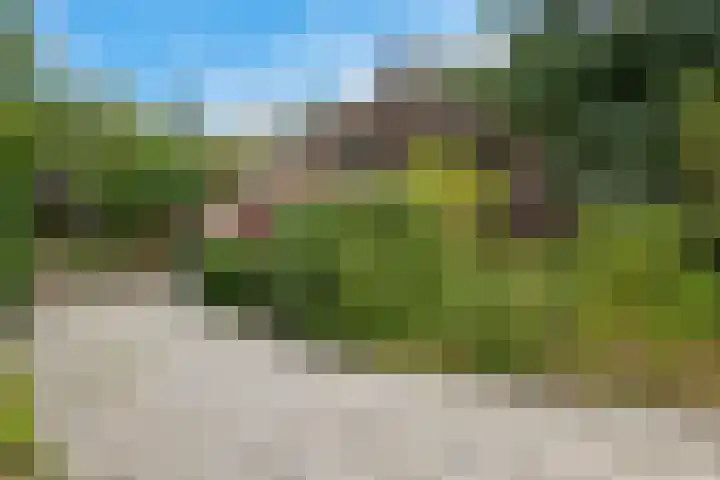 Buinerweg 3 Exloo thumbnail 46