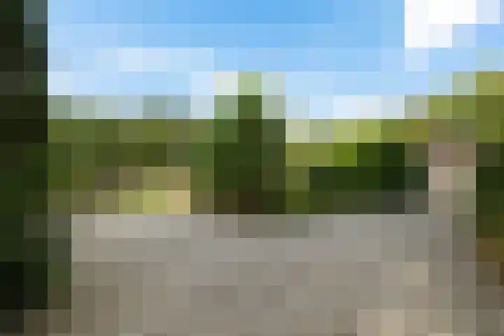 Buinerweg 3 Exloo thumbnail 47