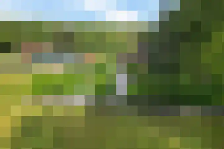 Buinerweg 3 Exloo thumbnail 49