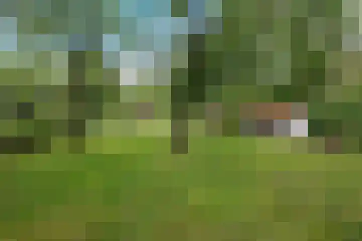 Buinerweg 3 Exloo thumbnail 5