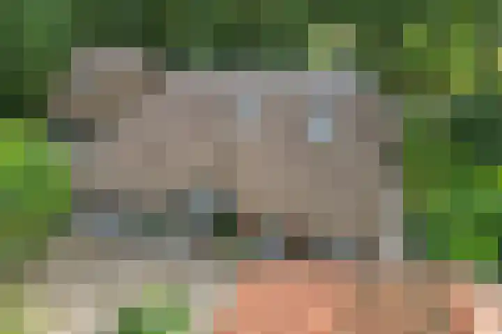 Buinerweg 3 Exloo thumbnail 52