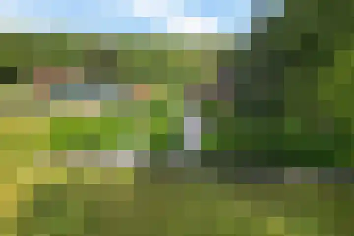 Buinerweg 3 Exloo thumbnail 53