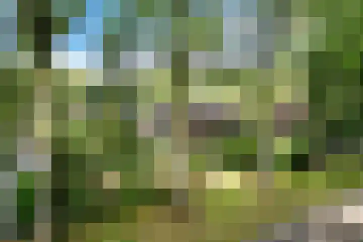 Buinerweg 3 Exloo thumbnail 54