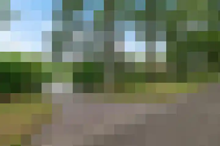 Buinerweg 3 Exloo thumbnail 6