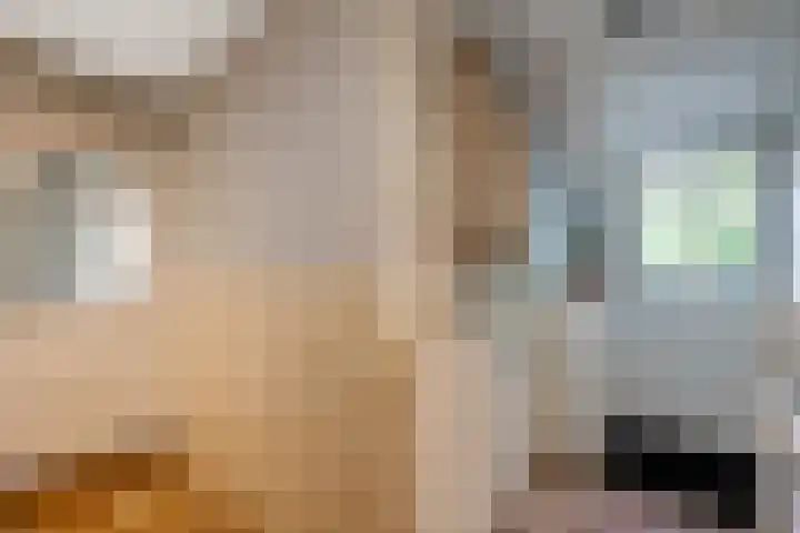 Buinerweg 3 Exloo thumbnail 7