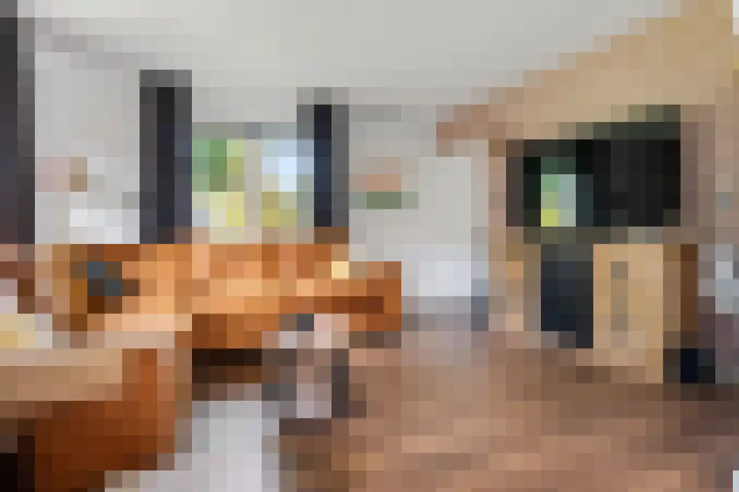 Buinerweg 4 Ees thumbnail 13