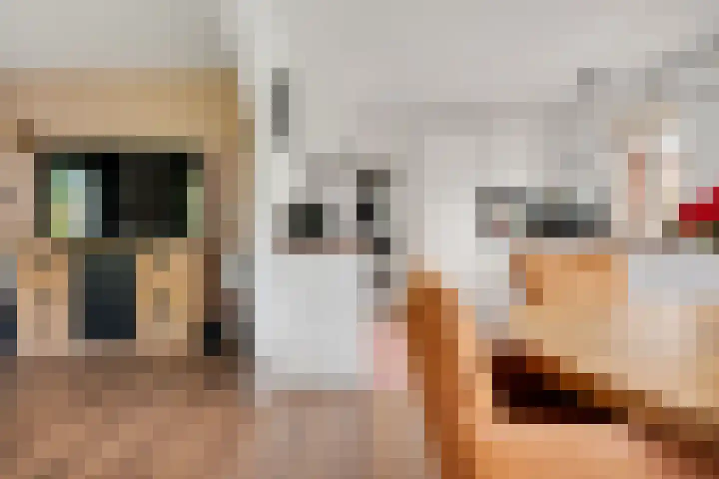 Buinerweg 4 Ees thumbnail 15