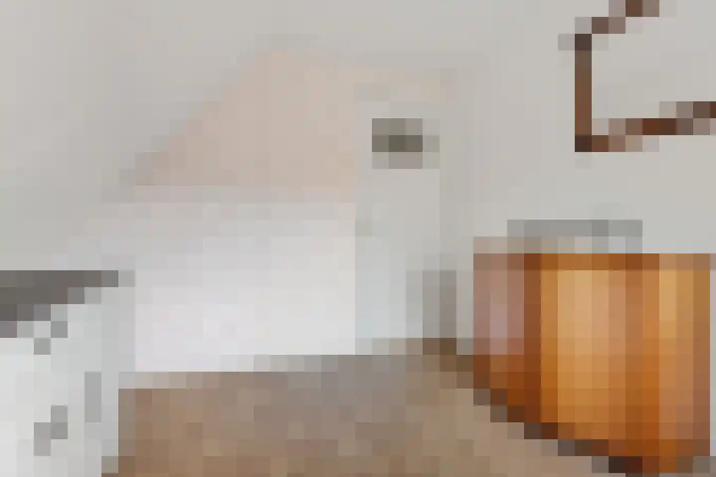 Buinerweg 4 Ees thumbnail 28