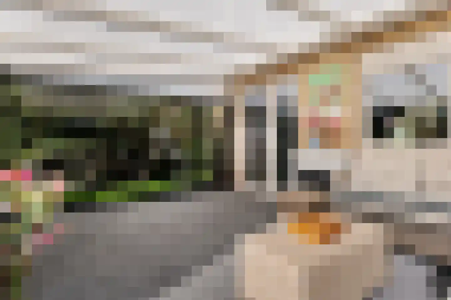 Buinerweg 4 Ees thumbnail 38