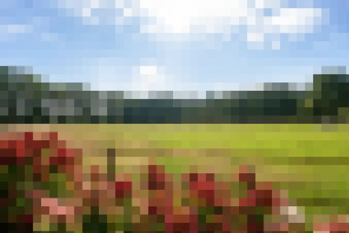 Buinerweg 4 Ees thumbnail 42